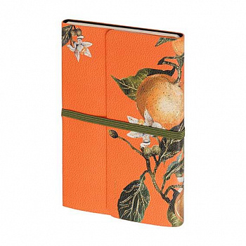 badd916c-42c0-11f1-808e-6805cac12231