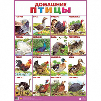 13efa450-e245-11ed-9944-6805cac12231