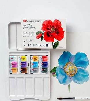 49a5f7bc-370f-11f1-8ba1-6805cac12231